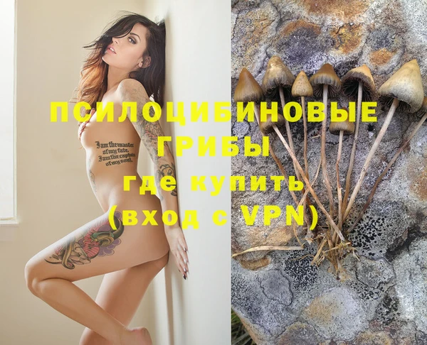 spice Куйбышев