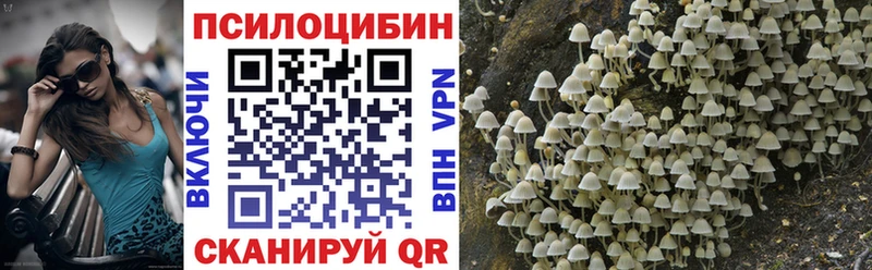 Псилоцибиновые грибы прущие грибы  Крымск 